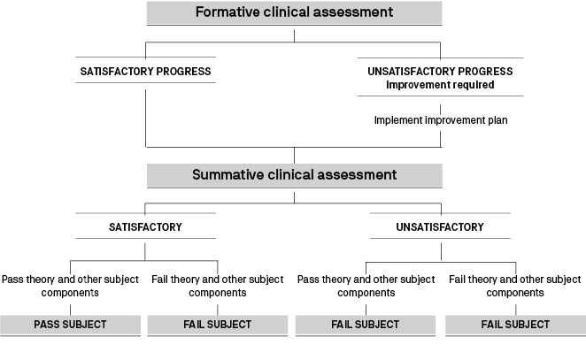 Clinical assessment diagram